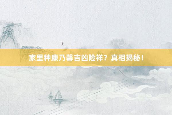 家里种康乃馨吉凶险祥？真相揭秘！